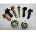 DIN 6921 Flange Bolts and DIN 6923 Nuts,