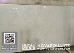 nv 901 Bianco Carrara quartzite slab