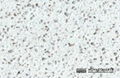 nv3040 arctic frost quartz stone 1