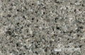  corris grey quartz stone slab 1