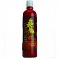 Argan Oil Shampoo 1