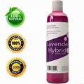 Lavender Hybrid Bubble Bath