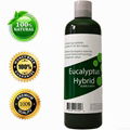 Eucalyptus Hybrid Bubble Bath