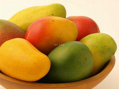 Fresh Quality Mango