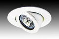 CHS Anti-Glare SMD 38W LED DOWNLIGHT GIMBLE LIGHTS 1