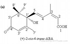 Sichuan Keruisen Bioengineering Co. Ltd.