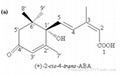 abscisic acid （purity:98%, CAS No.21293-29-8)