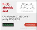 abscisic acid （purity:98%, CAS No.21293-29-8) 2