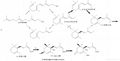 abscisic acid （purity:98%, CAS No.21293-29-8) 3