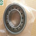 cylindrical roller bearing  1