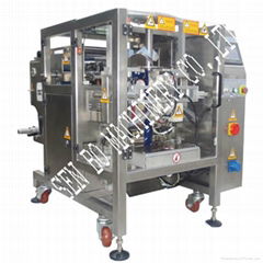 420 High Speeed Vertical Packing Machine