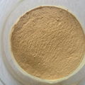 wood pulp calcium lignosulfonate calcium