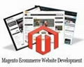 3.	Ecommerce Website Development