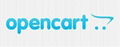 9.	Opencart Services