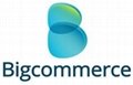 10.	BigCommerce Services