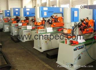 APEC brand AIW/Q35Y hydraulic iron worker 4