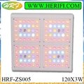 Herifi 2015 ZS005 120x3w LED Grow Light full spectrum led 2