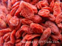 dried goji berries