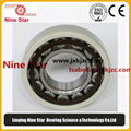 Electric Motor Bearing