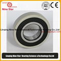 Generator Insulated Bearing