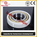 6317M/C3VL0241 Insulated Bearing