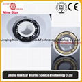 6319M/C3VL0241 Insulated Bearing 95x200x45mm