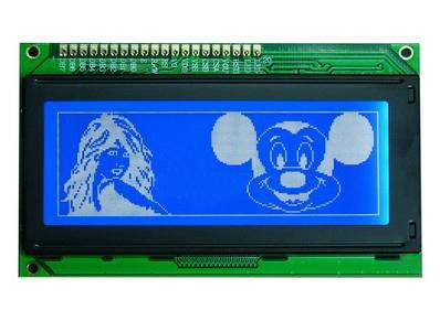 Graphic LCD module