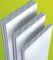 sandwich  panel 1