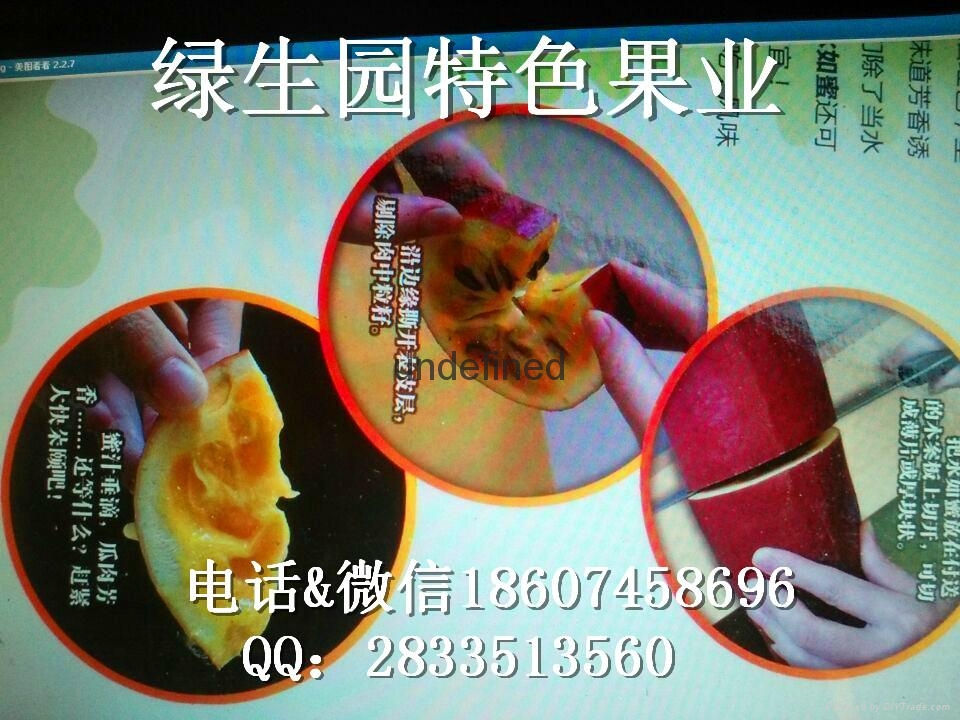 新型水果香如蜜種子 3