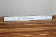 252W apple led grow light bar