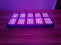 Neptune 10 500W LED Grow Light 4