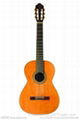 2015 top+factory lyy-004 41" Acoustic