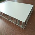10mm, 20mm, 25mm aluminum honeycomb panels for wall cladding 5