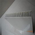 Fiberglass honeycomb panel for truck