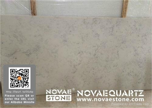 NV901 Bianco Carrara Quartz Slab 4