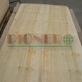 Packing Plywood CDX Plywood Pine packing