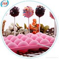 Hot Selling Food Safety Silicone Cake Pop Molds 20pcs Set With 20 Free Sticks 4