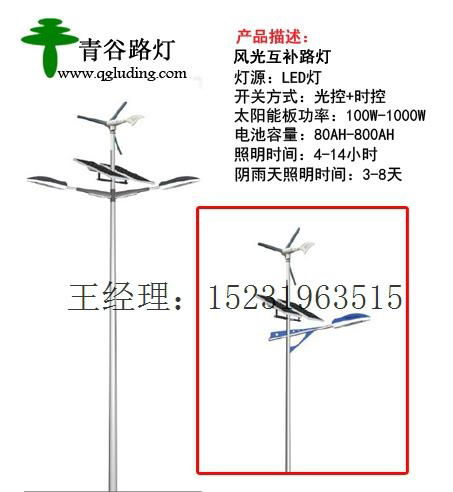 呼和浩特風光互補路燈 2