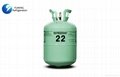 Refrigerant gas R22 1
