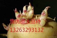 北京金輝顆源種子銷售有限公司