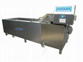 YQX-650A vegetables and fruit washing