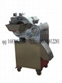 CHD100 cubes cutting machine vegetable cutting machine shandongyinying 1