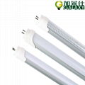 T8 LED tube 1