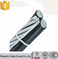 High Voltage Aluminium Core XLPE Insulated ABC Cable 1