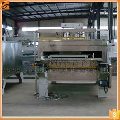 Peanut roasting machine