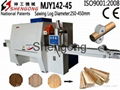 multiple rip saw 1