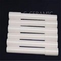 Alumina ceramic component 4