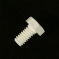 Zirconia ceramic screw