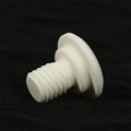 Zirconia ceramic screw 3