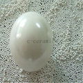 Zirconia Ball,Zirconia Bearing,Ceramic